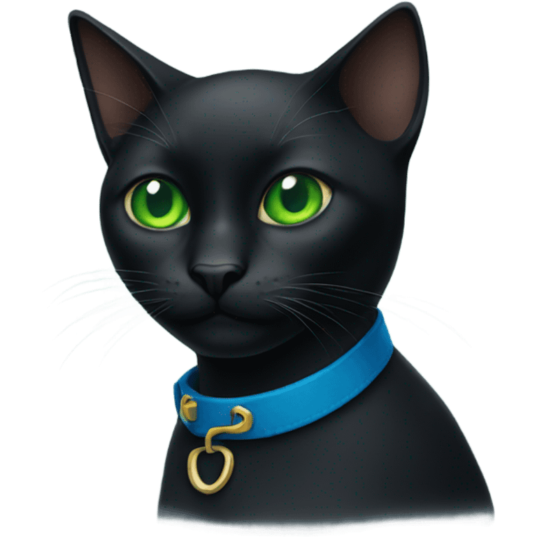 black cat with green eyes wearing a blue collar emoji