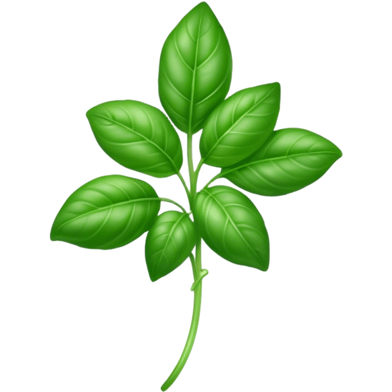 Cinematic Realistic Basil Emoji, Lush and fragrant, with vibrant green leaves that release a fresh, herbal aroma. The soft, glossy leaves are delicately arranged along slender stems, exuding vitality and flavor. Soft glowing outline, capturing the essence of freshness, growth, and aromatic delight in a blossoming basil plant! emoji