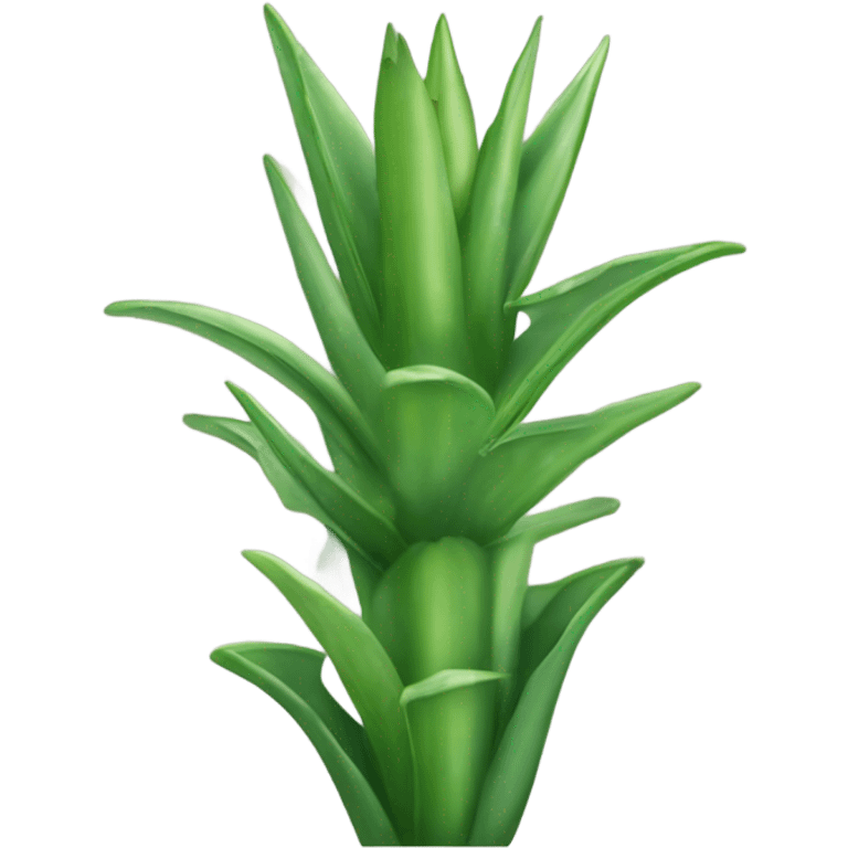 Große Aloe Vera  emoji