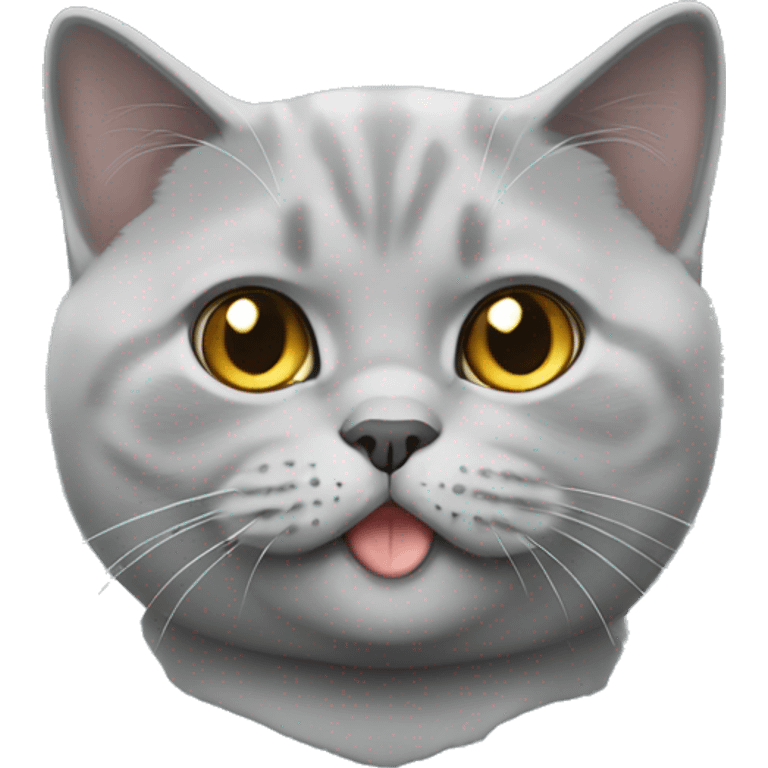 Light gray british shorthair cat emoji