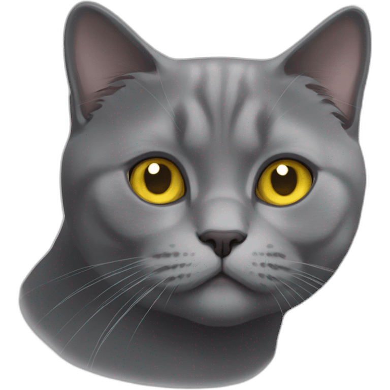 A british shorthair cat in schildpatt and with yellow eyes emoji