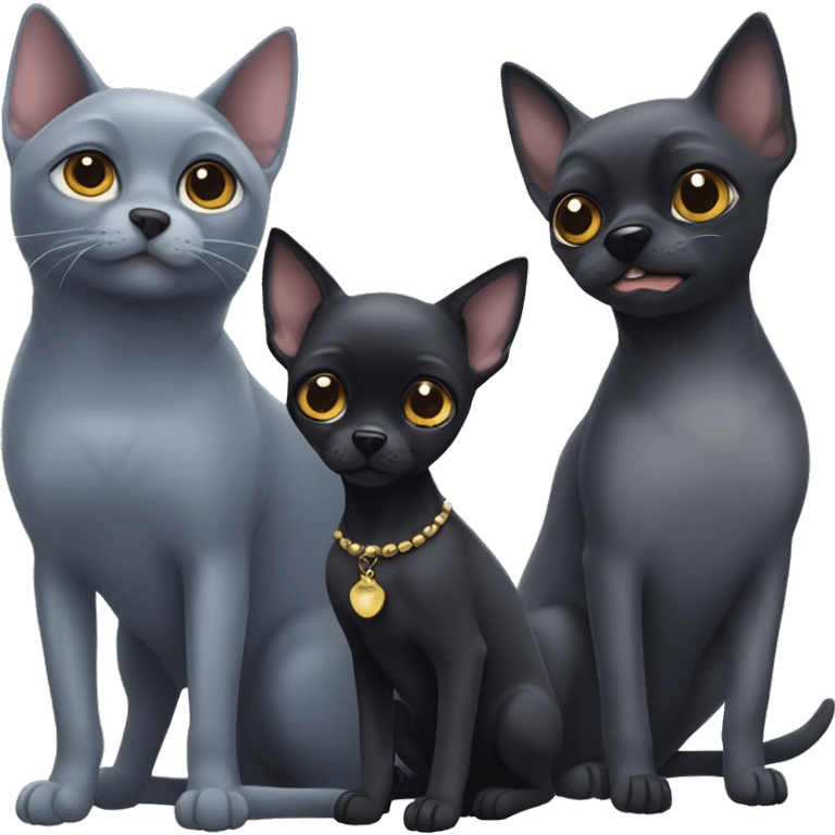 a big russian blue cat and two small black chihuahuas emoji