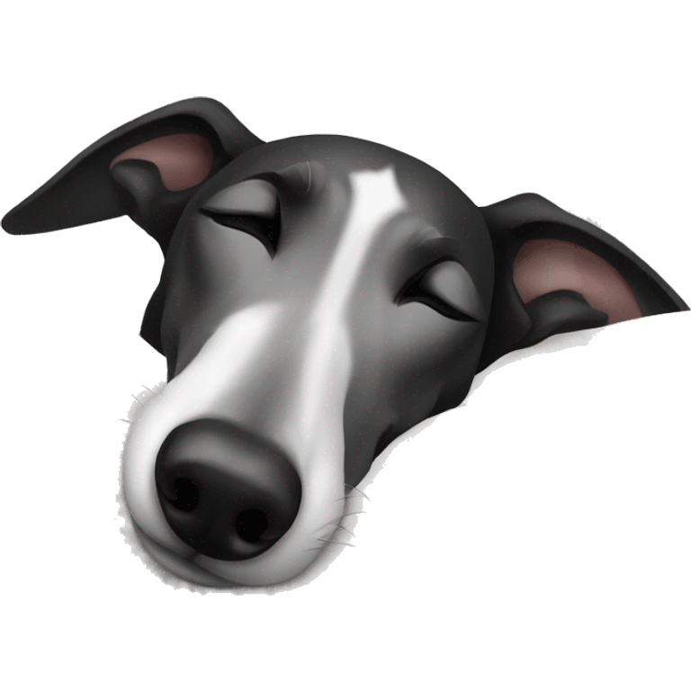 black and white Greyhound sleeping on bed emoji