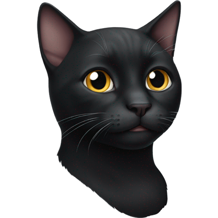 black cat white chin emoji