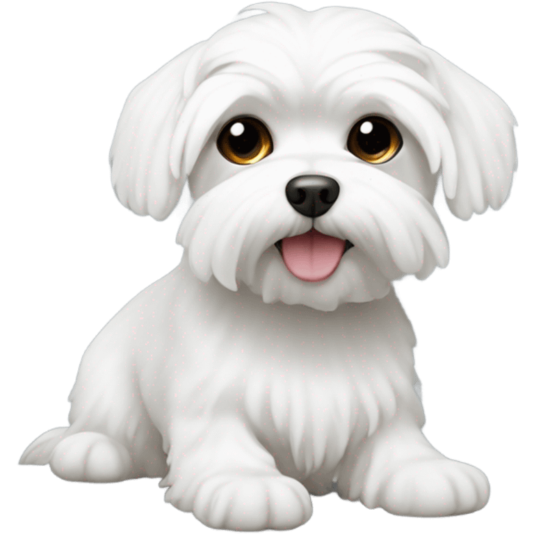 White Maltese  emoji