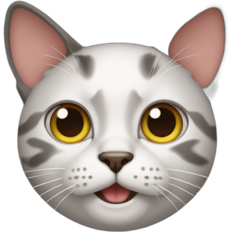 Crazy cat emoji