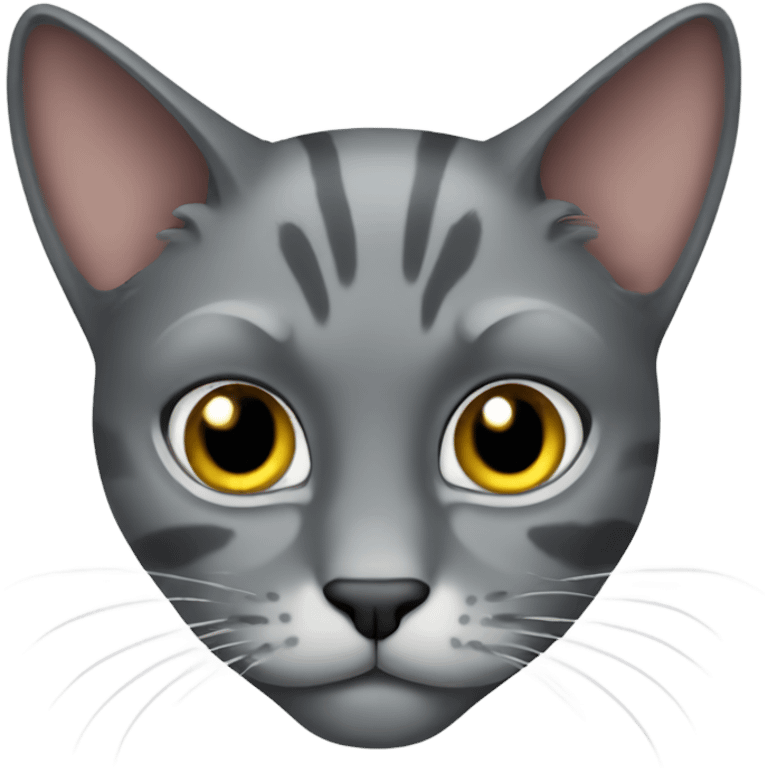 pirate gray cat emoji