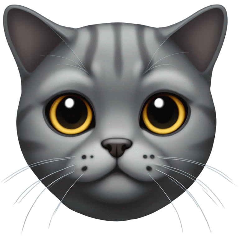 all dark grey Scottish Fold Cat folded ears emoji