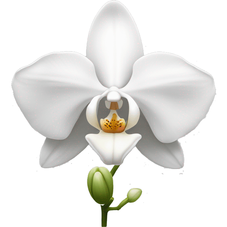 Single white orchid  emoji