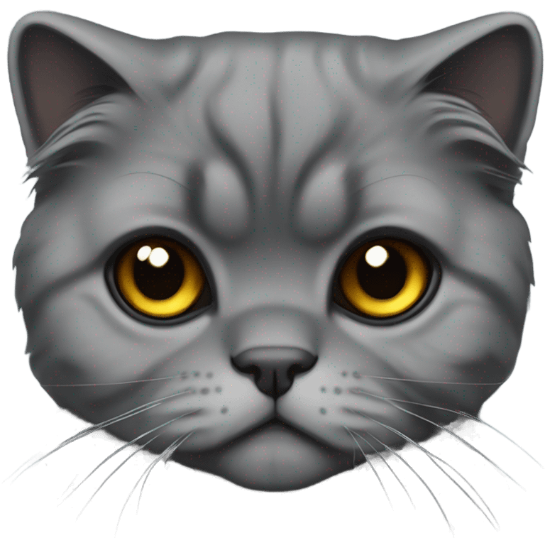 All dark grey Scottish fold cat long hair fold ear emoji