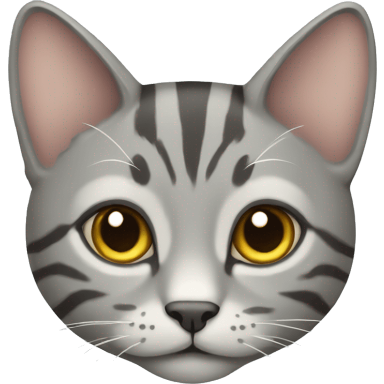 Grey Tabby Cat emoji