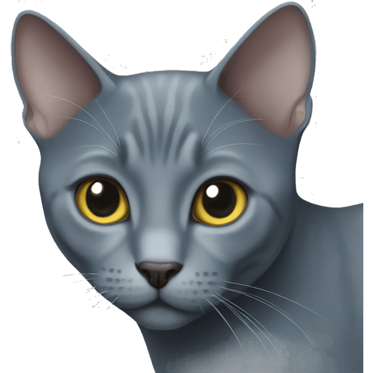 russian blue cat emoji