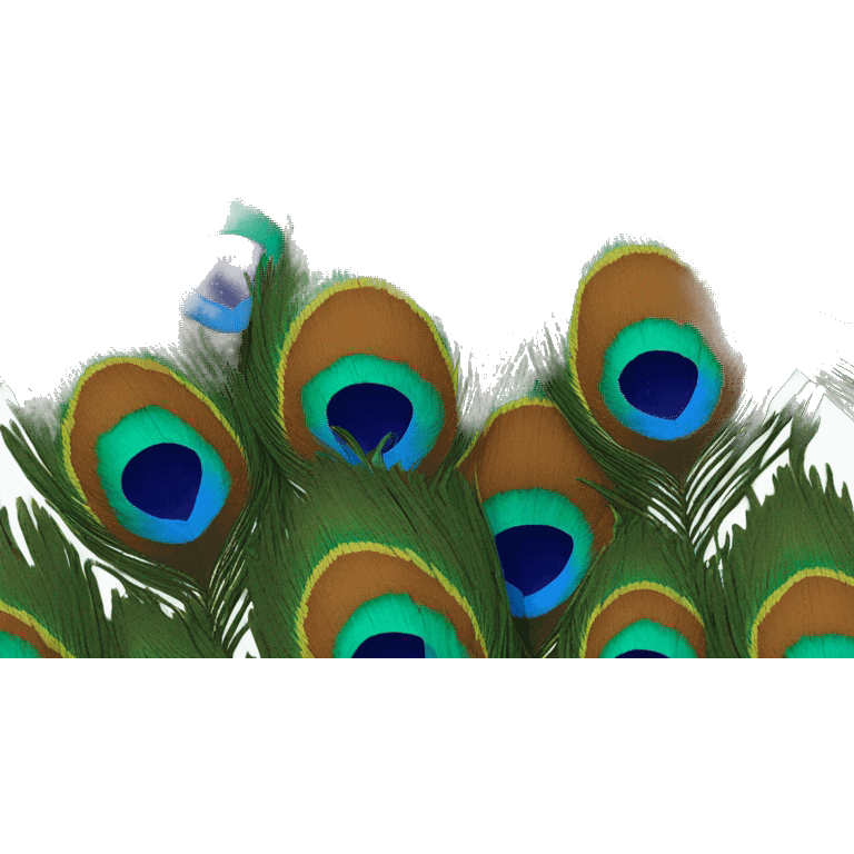 Peacock feather  emoji