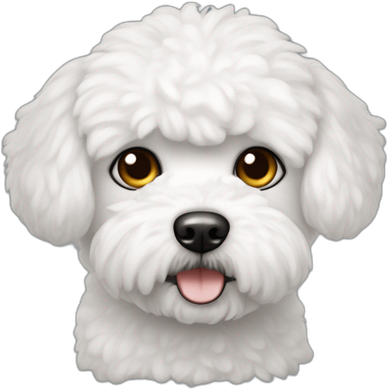 Bichon maltes con ojos negros emoji