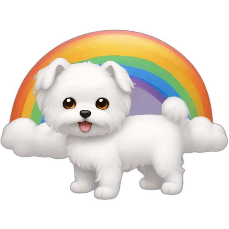 Raoinbow Bichón maltés emoji