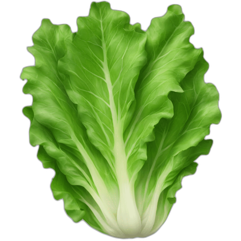 lettuce leaves emoji