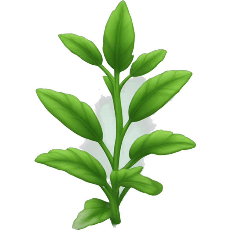  a plant with a thin, slightly hairy green stem. The leaves are oval, pointed, slightly serrated, and dark green in color. They are arranged in opposite pairs along the stem. emoji