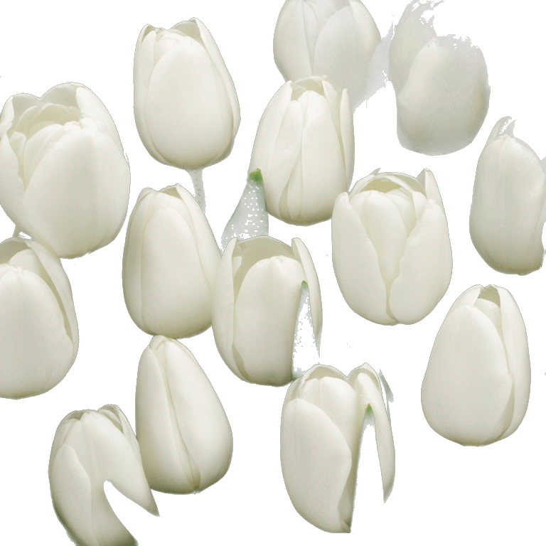 White tulips emoji