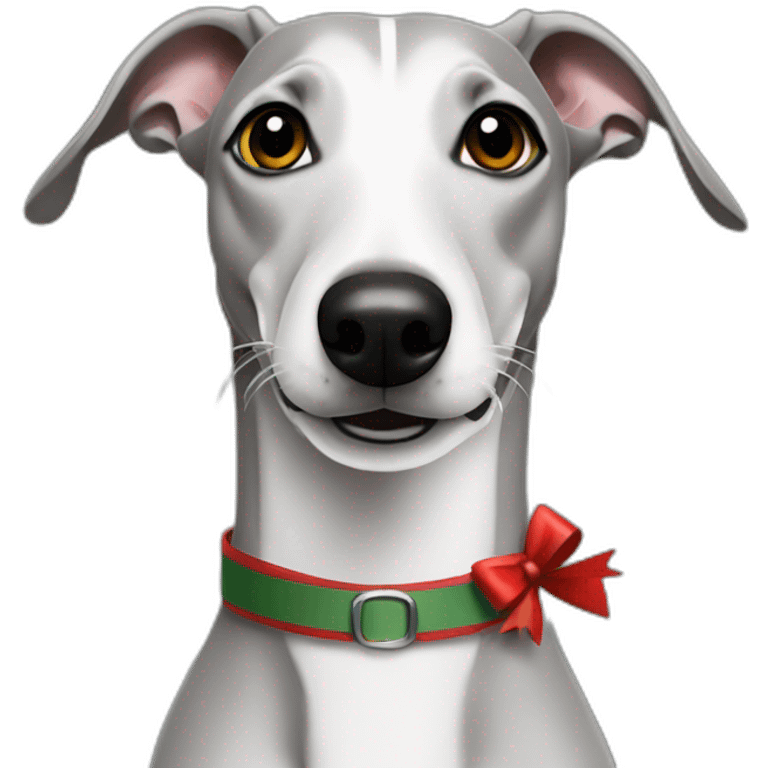 Grey Whippet celebrate santa emoji