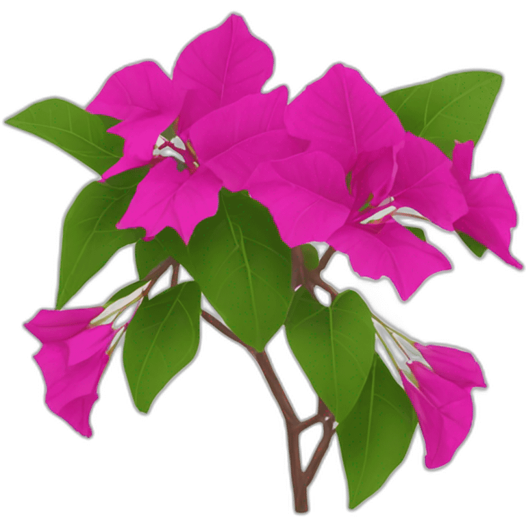 bougainvillea flowers emoji