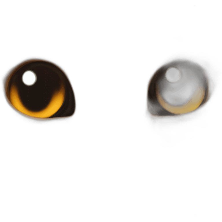 Un chat roux avec des munettes de soleil noire emoji