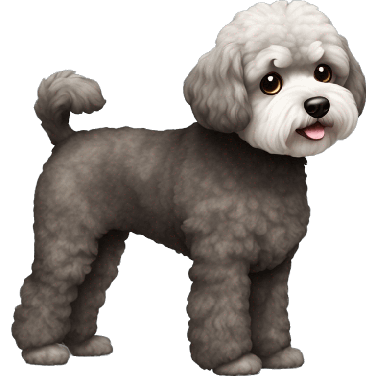 Old Dog maltipoo dark brown and dark grey fur full body standing emoji