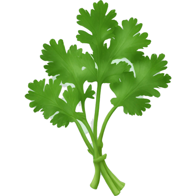 cilantro emoji