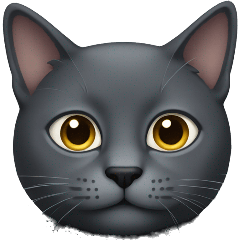 Dark grey cat emoji