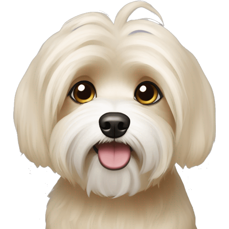 blonde havanese dog, cute big eyes  emoji