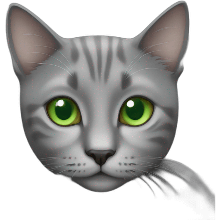 Grey cat green eyes emoji