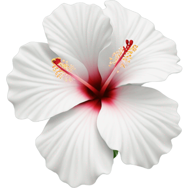 White hibiscus flower emoji