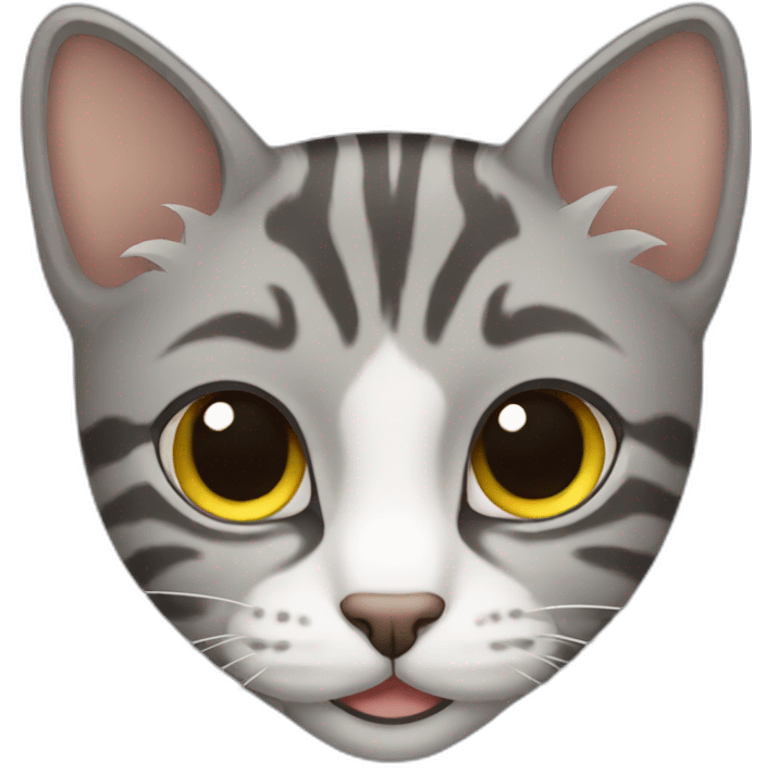 Gray tabby cat  emoji