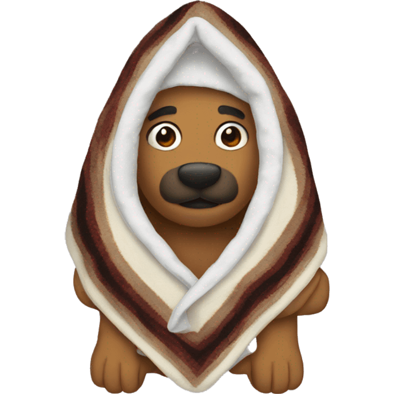 blanket emoji