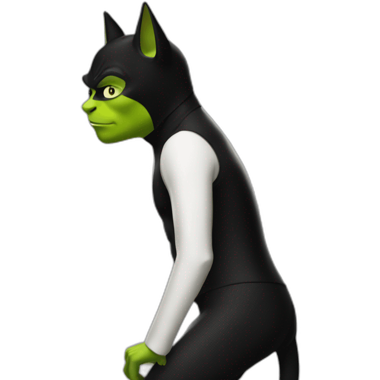 Chat noir et blanc qui twerk sur shrek emoji