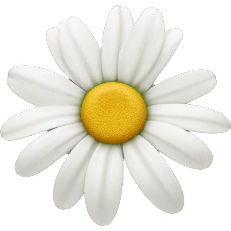 Pretty daisy with white petals.  emoji