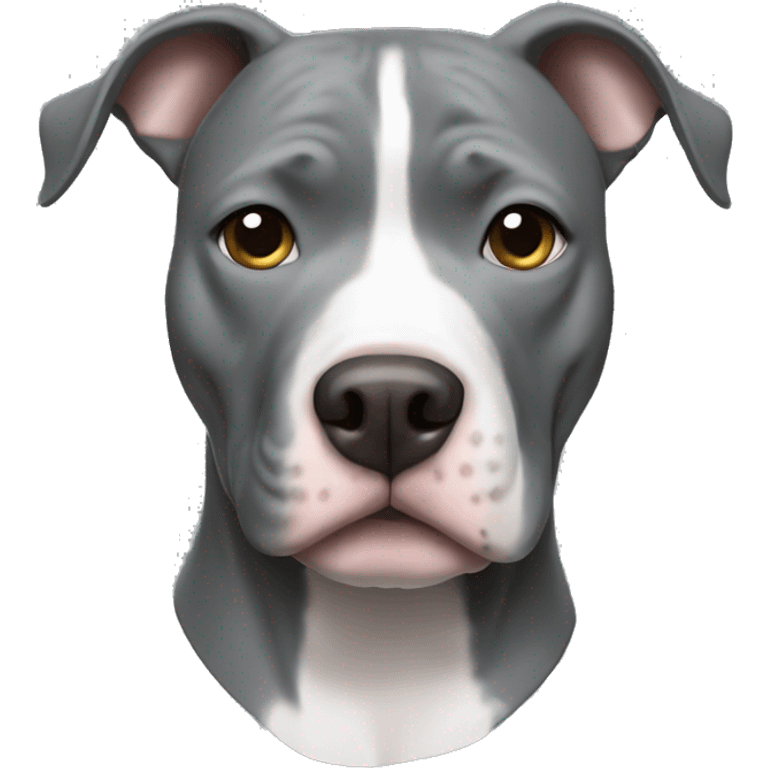 grey pitbull with white chest emoji