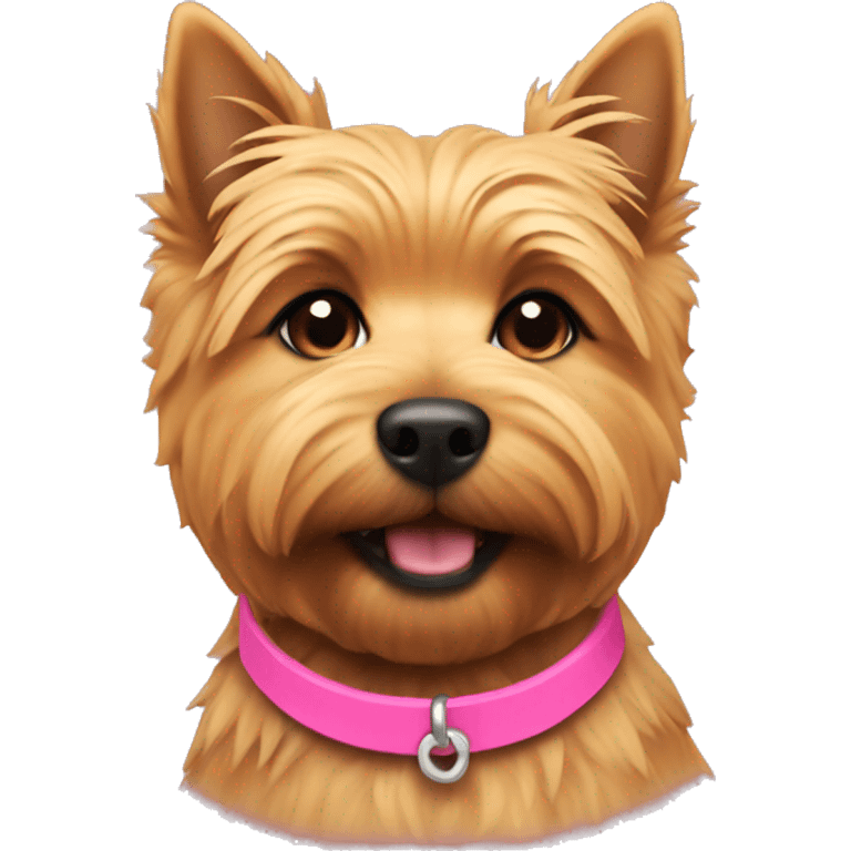 Norwich terrier with pink collar emoji