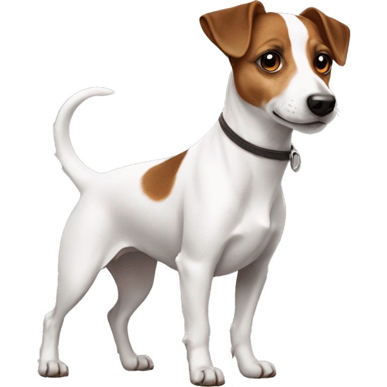 Jack Russell dog with brown eyes in full growth with a short tail emoji