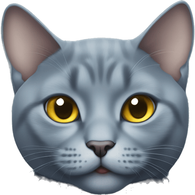 Plump Russian blue cat wearing a diamond chain in a Lamborghini  emoji