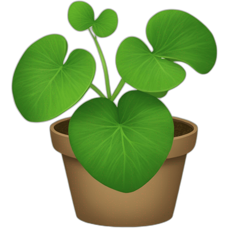 pilea emoji