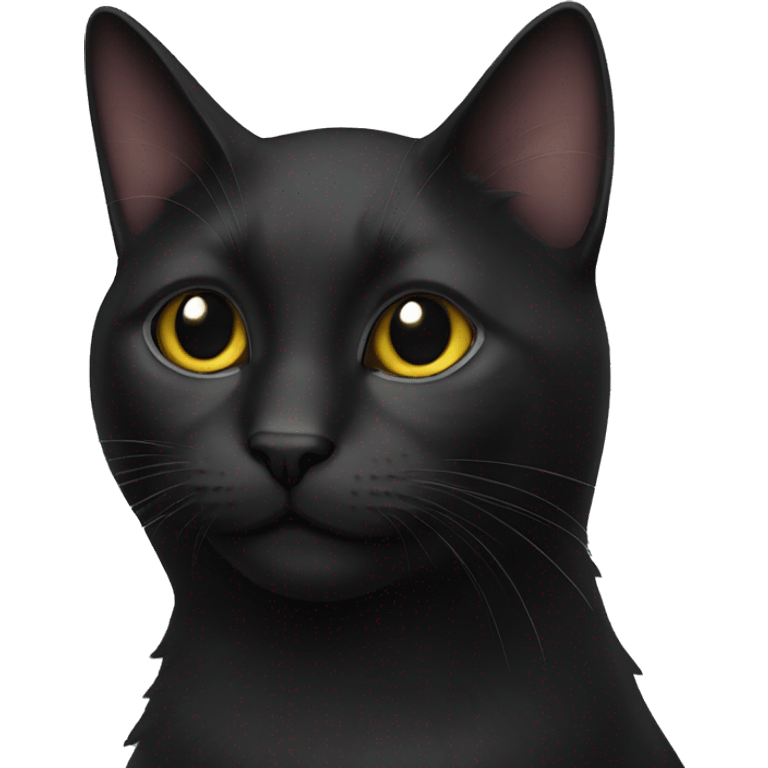 J4 black cat emoji