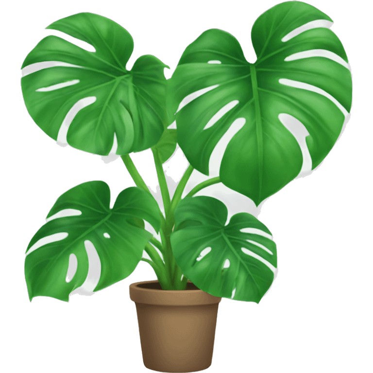 Monstera plant emoji