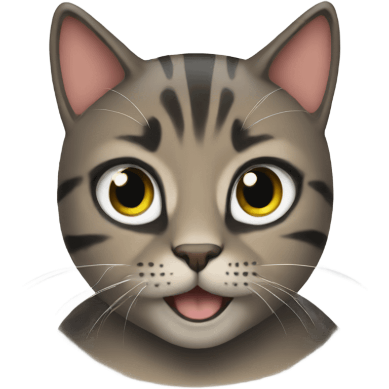 Kat emoji