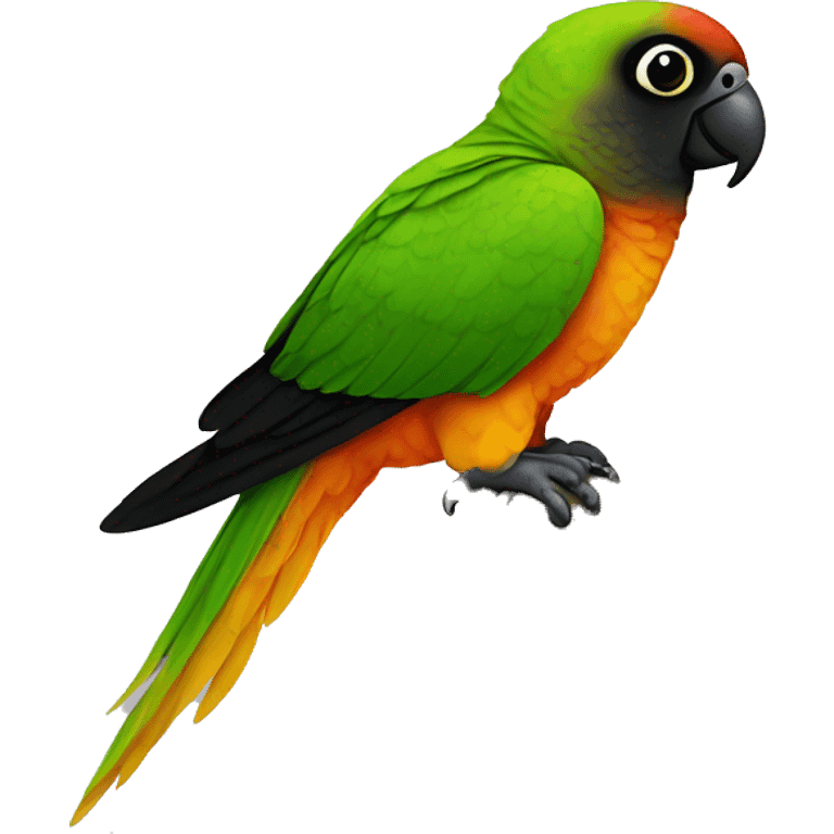 Black-capped conure emoji