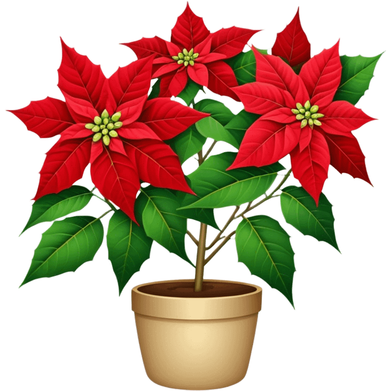 super big bouquet Poinsettia, stem, leaf emoji