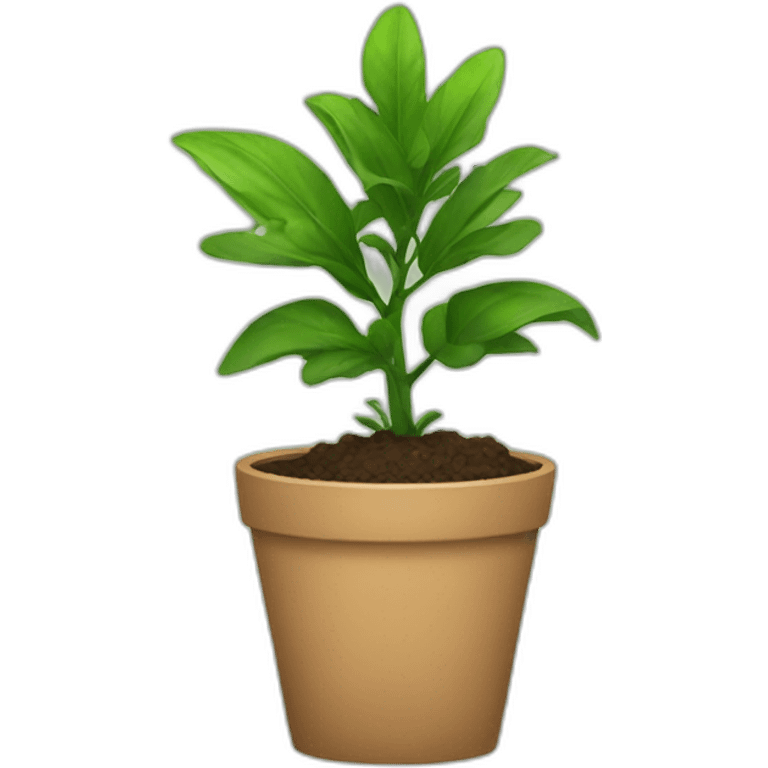 dude-plant emoji