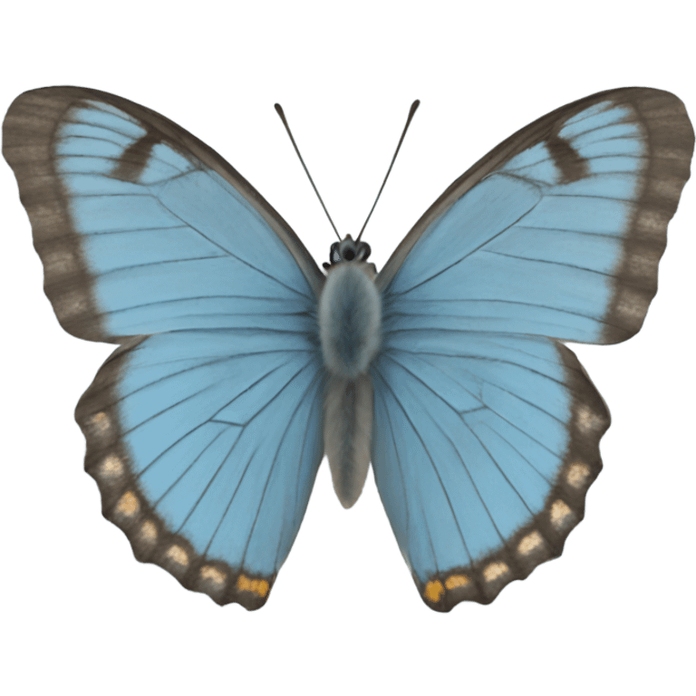 chalkhill blue butterlfy emoji