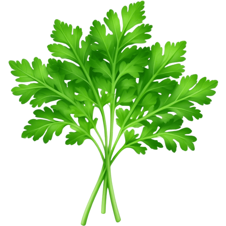 Cinematic Realistic Parsley Emoji, Fresh and vibrant, with bright green, frilly leaves that seem to shimmer with vitality. The plant exudes a sense of healthy growth and aromatic zest, inviting both beauty and flavor into any dish. Soft glowing outline, capturing the essence of freshness, health, and culinary delight in a sprig of parsley! emoji