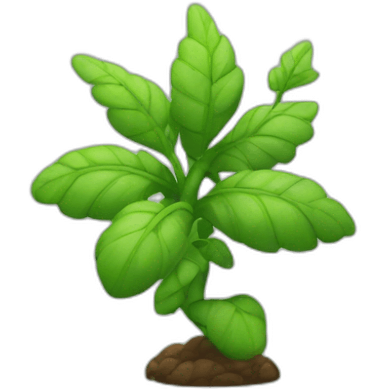 Spiral plant emoji