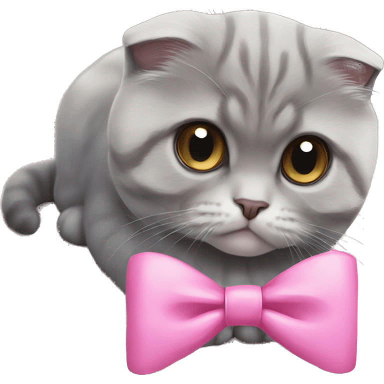 grey scottish fold cat with pink bow  emoji